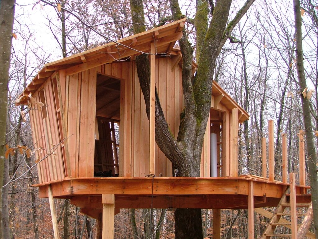Photo cabane pistache