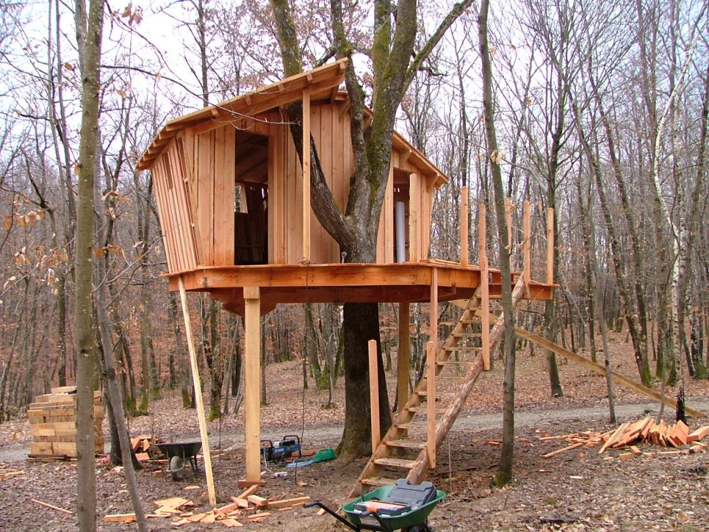 Photo cabane pistache