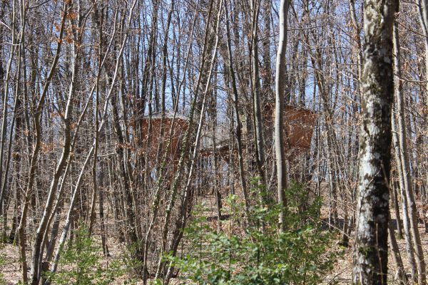 Cabane Amande au printemps